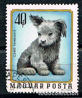 Sellos: Hungria 3030, Cria de perro, usado - Foto 1