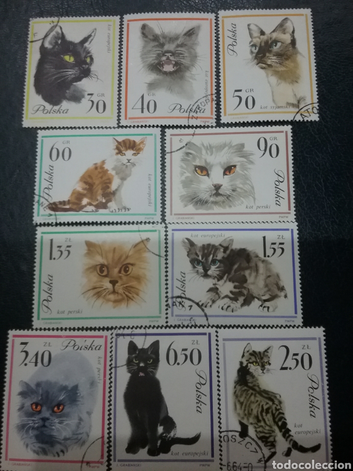 Sellos: Sellos de Polonia (Polska) mtdos. 1963. Gatos domesticos. Felinos. Animales. Mamiferos. Naturaleza.