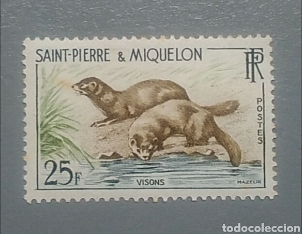 Timbres: Sello Saint Pierre Miquelon visons fauna