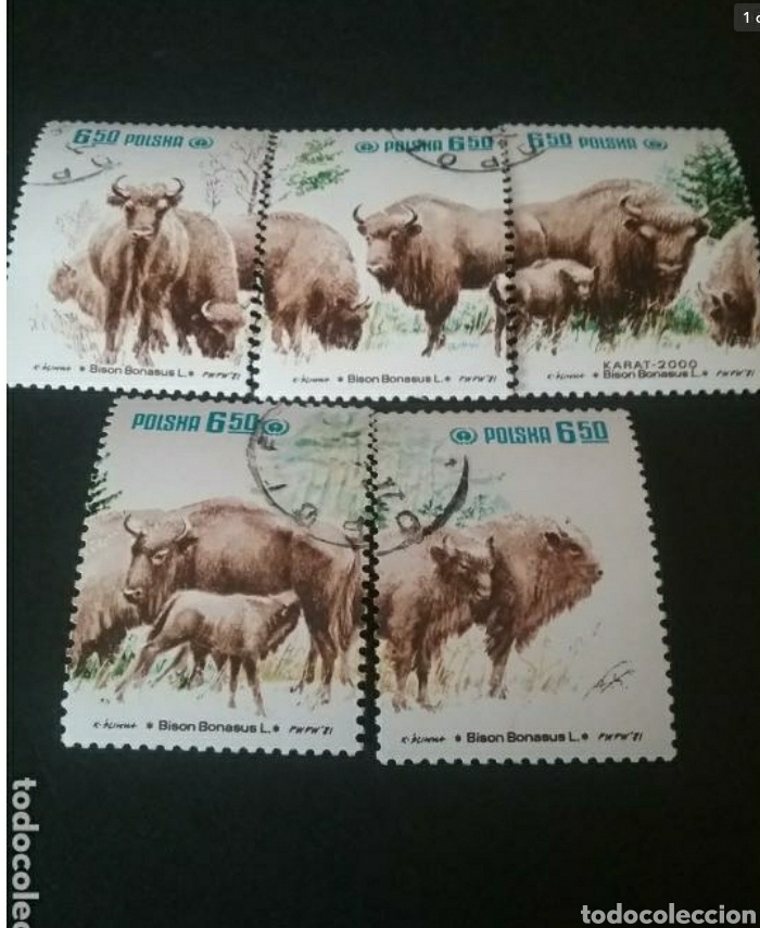 Sellos: Sellos de Polonia (Polska) mtdos.1981/Bisonte/Proteccion naturaleza/Animales/Ungulados/mamifero/faun