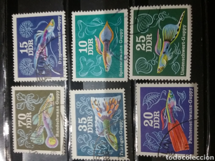 Sellos: Sellos Alemania, R. D (DDR) mtdos/1976/Peces acuario/guppy/pez millon/vida, fauna marina/plantas