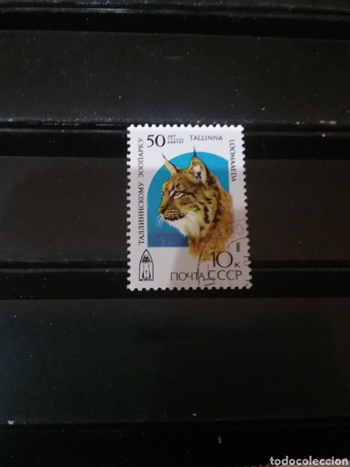Sellos: Sellos Rusia (URSS.CCCP) mtdos/1989/50 Aniv. zoo Tallin/lince/felino/mamifero/carnivoro/naturaleza/f