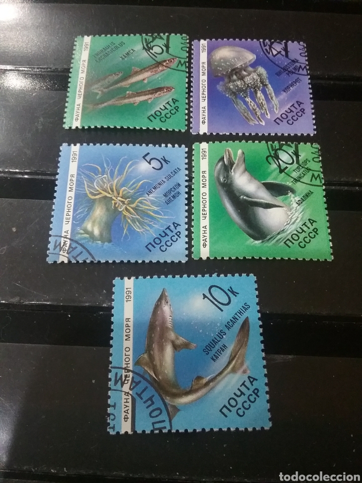 Sellos: Sellos Rusia (URSS.CCCP) mtdos/1991/Fauna mar Negro/medusa/vida marina/delfin/tiburon/boquerones/pez