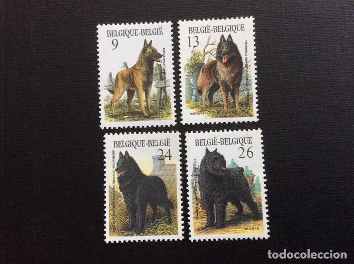 Sellos: BELGICA N&ordm; YVERT 2213/6*** A&Ntilde;O 1986. PERROS DE RAZAS BELGAS
