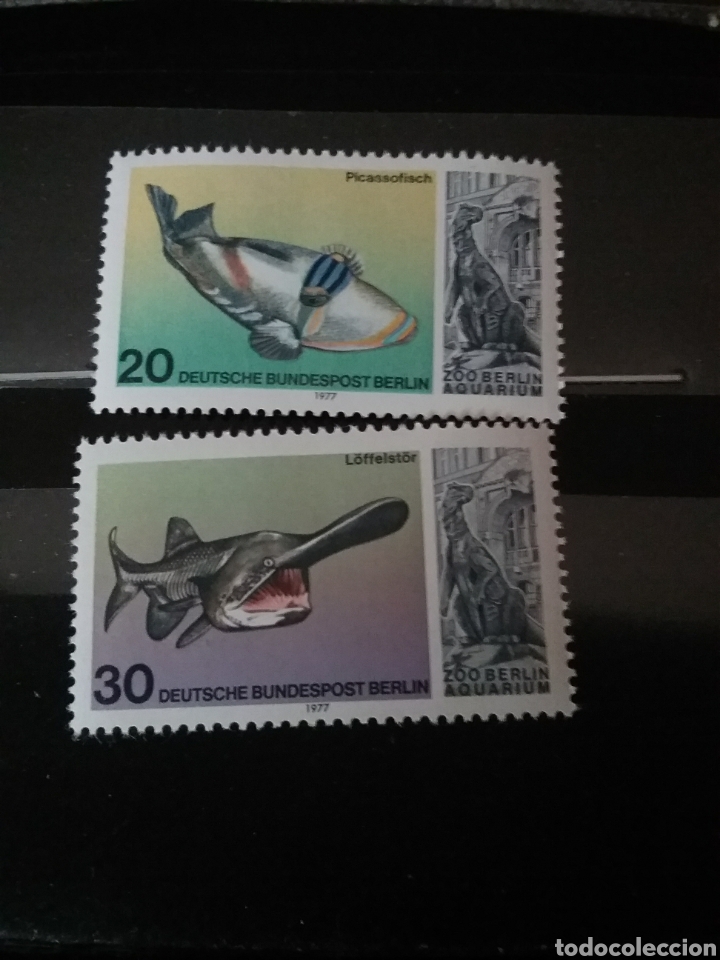Sellos: Sellos Alemania, Berlin nuevos/1977/XXV Aniv. Zoo Berlin/peces/ballesta/espatula/vida, fauna marina/