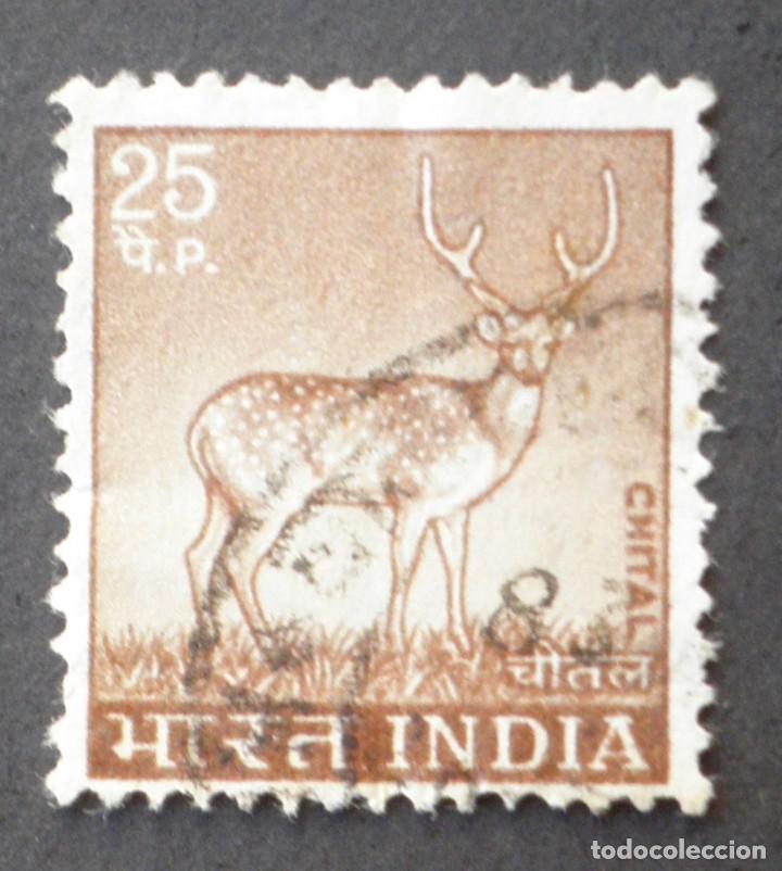Sellos: 1974 India Ciervo moteado