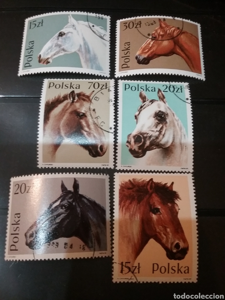 Sellos: Sellos R. Polonia (Polska) mtdos/Caballos/fauna/animales/mamiferos/equinos/yegua/potro