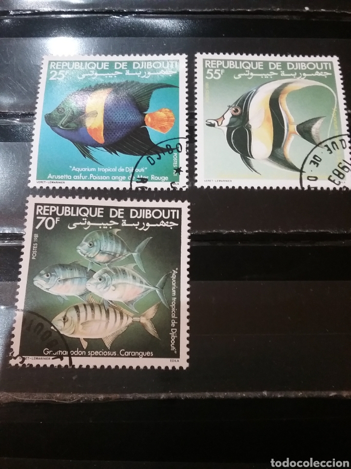 Sellos: Sellos R. Djibouti (Yibuti) mtdos(+/-se&ntilde;al bisagra)/1981/Peces acuario tropical/jurel/vida, fauna