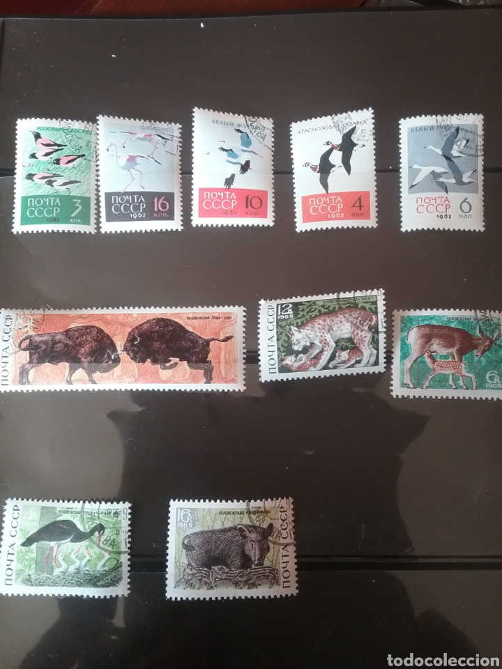 Sellos: Sellos Rusia (URSS.CCCP) mtdos(+/-se&ntilde;al bisagra)/1962-1969/Fauna/aves/parqie nacional/bufalo/lince/g