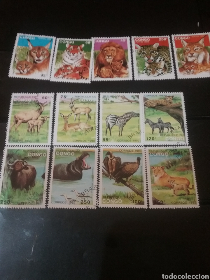 Timbres: Sellos R. Congo mtdos(+/-se&ntilde;al bisagra)/1992-1993/Animales/fauna/leon/felinos/hipopotamo/bufalo/cebr