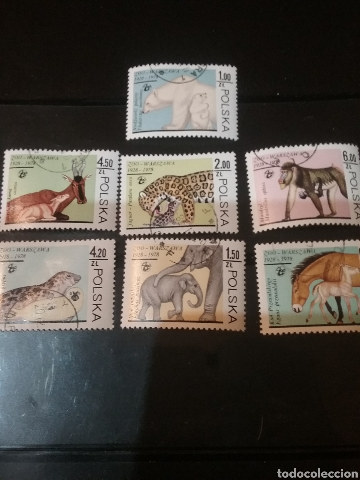 Sellos: Sellos R. Polonia (Polska) mtdos(+/-se&ntilde;al bisagra)/1978/Anjmales zoo/elefante/fauna/tigre/leopardo/f