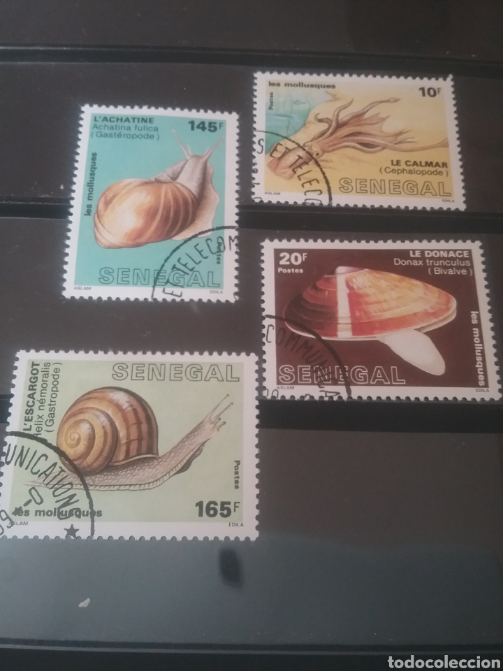 Sellos: Sellos R. Senegal mtdos(+/-se&ntilde;al bisagra)/1988/Moluscos/caracol/vida, fauna marina/coquina/calamar
