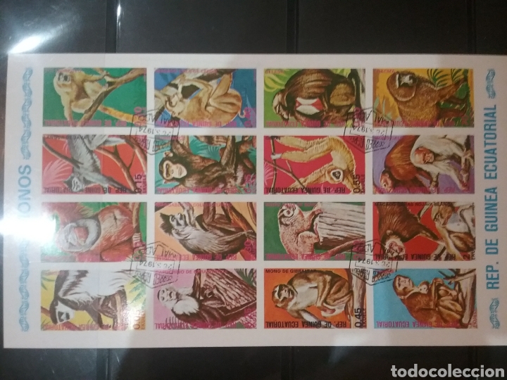 Sellos: HB G. Ecuatorial (sin dentar) mtdos/1975/Monos/simios/primates/mam&iacute;feros/gibon/orangutan/