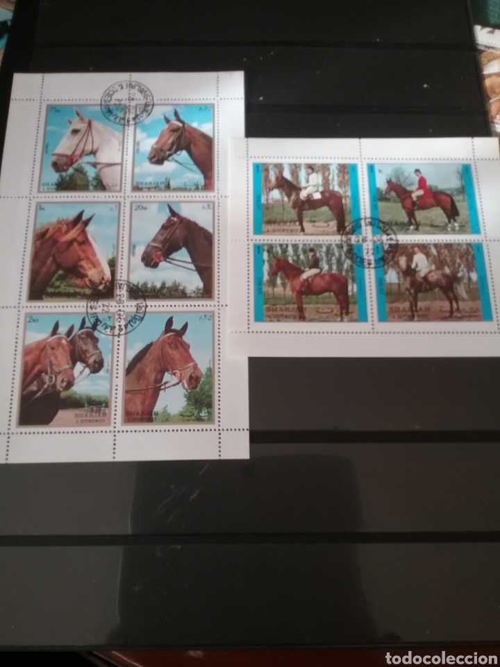 Sellos: HB Sharjah (E.A.U) mtdas/1972/caballos/hipica/jinetes/equinos/doma/paisajes/mamiferos/fauna