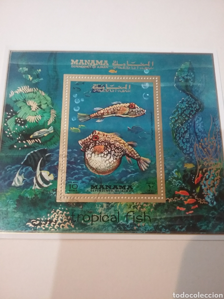 Timbres: HB Manama (E.A.U) mtdos/1971/Peces tropicales/pescados/animales/fauna, vida marina/globo/coral/