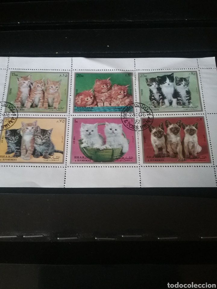 Sellos: Sellos Sharjah (E.A.U) mtdos/1972/gatos/anjmales domesticos/felinos