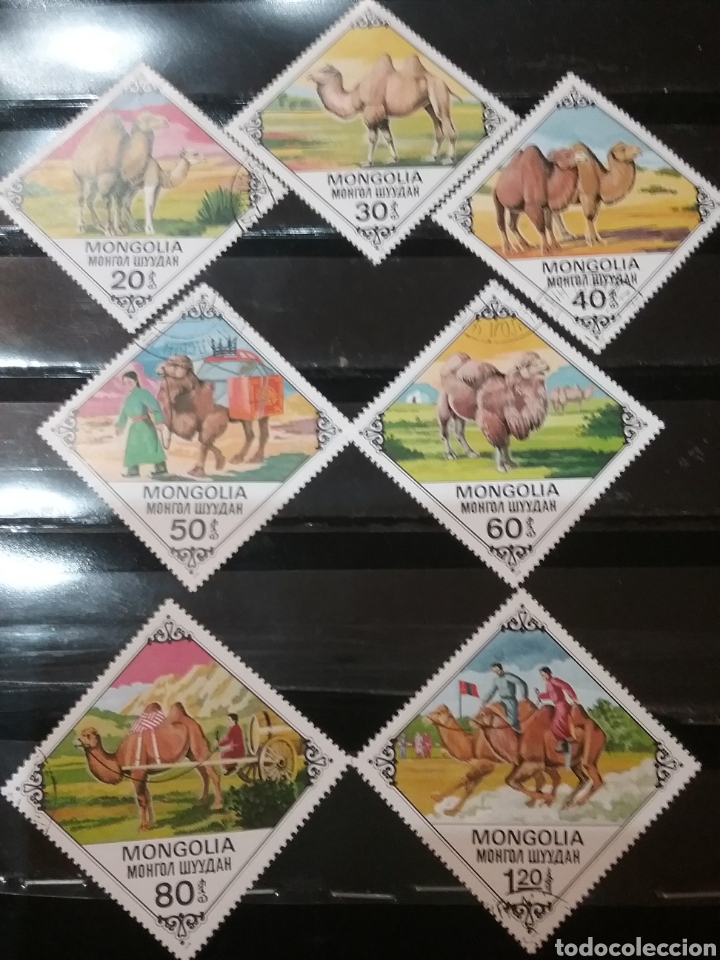 Sellos: Sellos R. Mongolia mtdos/1978/Camellos/carreras/mamiferos/animales domesticos y trabaj&oacute;/