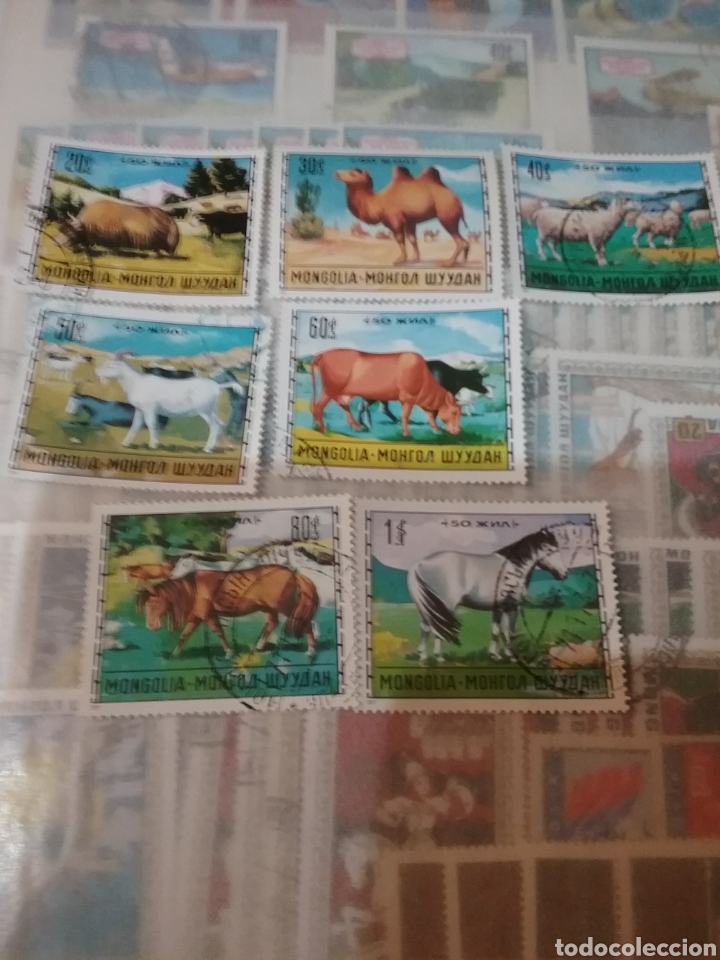 Sellos: Sellos R. Mongolia mtdos/1971/Cria de ganado/caballar/bobina/porcina/vacuna/naturaleza/fauna/paisaje