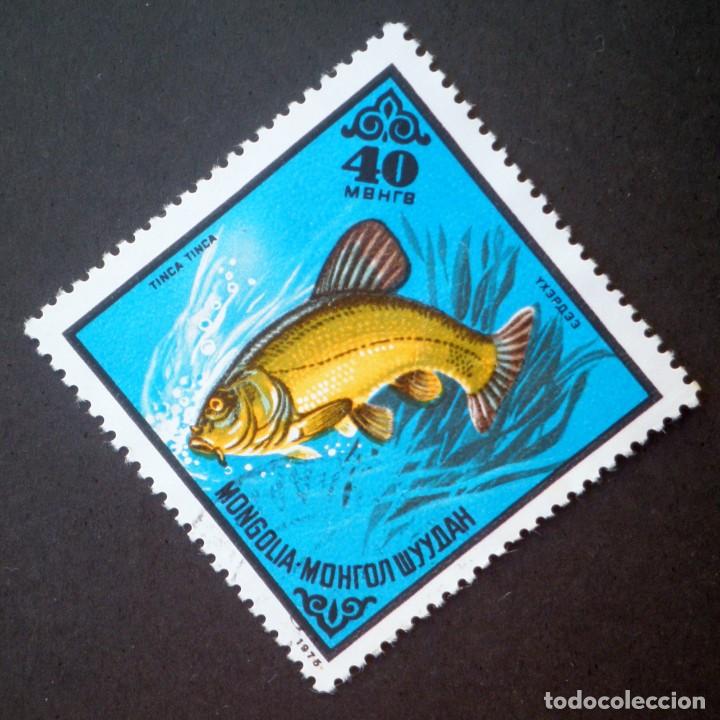 Sellos: 1975 Mongolia Peces Tinca tinca - Foto 1