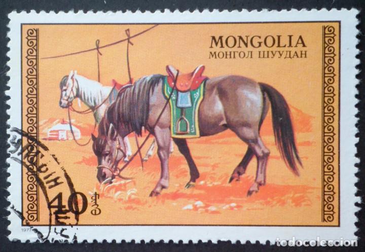 Sellos: 1977 Mongolia Caballos - Foto 1