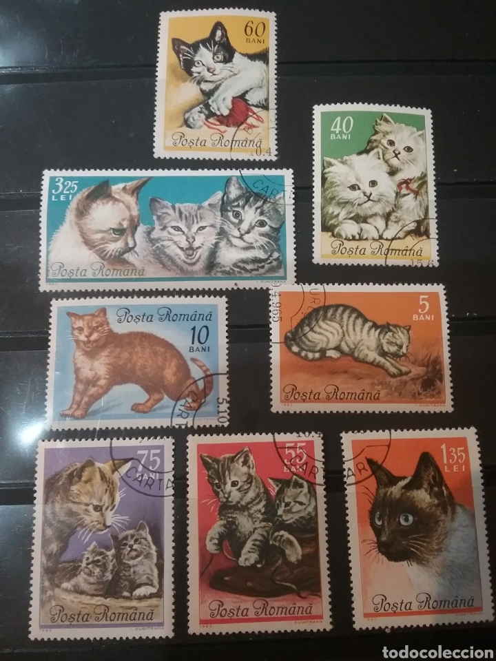 Timbres: Sellos Rumania (R. P. Romina)mtdos/alguno resto bisagra/1965/Gatos/anjmales/fauna/felinos/persa/