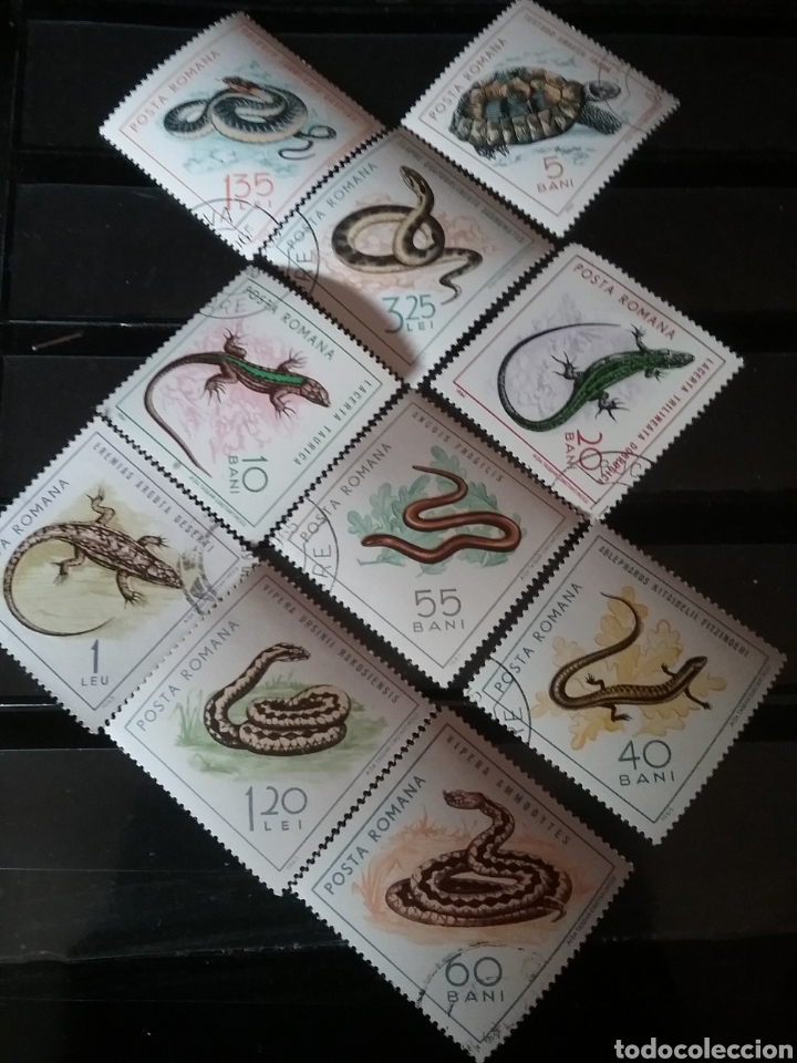 Sellos: Sellos R. Rumania (P. Romana) mtdos/1965/animales, fauna/reptiles/serpientes/tortugas/lagartos/cobra