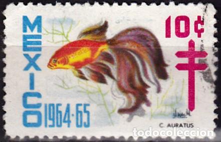 Timbres: 1964-65 - MEXICO - VI&Ntilde;ETA LUCHA CONTRA LA TUBERCULOSIS - PEZ AURATUS