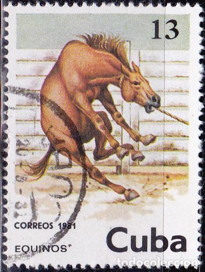 Sellos: 1981 - CUBA - CABALLOS - YVERT 2291 - Foto 1