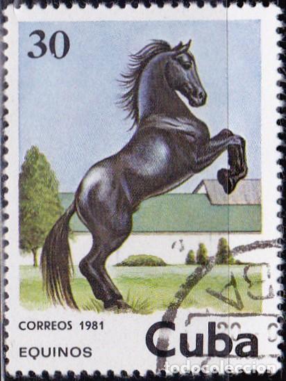 Sellos: 1981 - CUBA - CABALLOS - YVERT 2292 - Foto 1