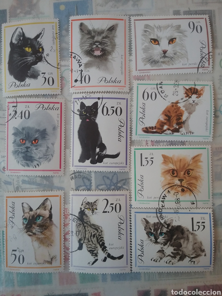 Briefmarken: Sellos de Polonia (Polska) mtdos/1964/Gatos domesticos/Felinos/Mamiferos/Animales/Naturaleza/