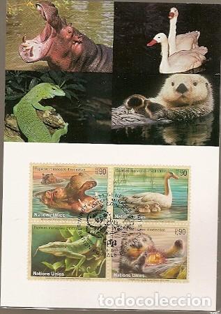 Timbres: Naciones Unidas & Maxi, Fauna, Especies en Peligro de Extinci&oacute;n, ONU Geneva 1993 (141)