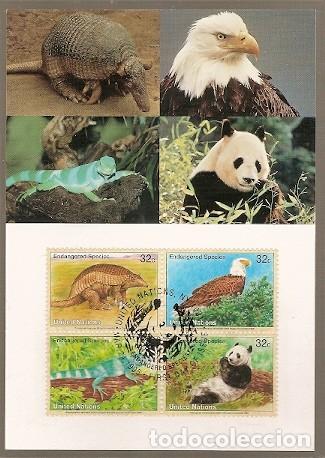 Timbres: Naciones Unidas & Maxi, Fauna, Especies en Peligro de Extinci&oacute;n, ONU Nueva York  1995 (152)