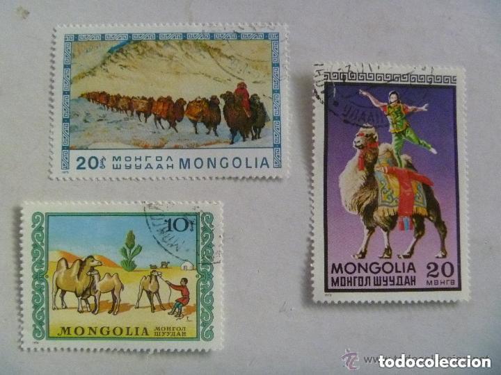 Sellos: LOTE DE 3 SELLOS DE MONGOLIA : CAMELLOS - Foto 1