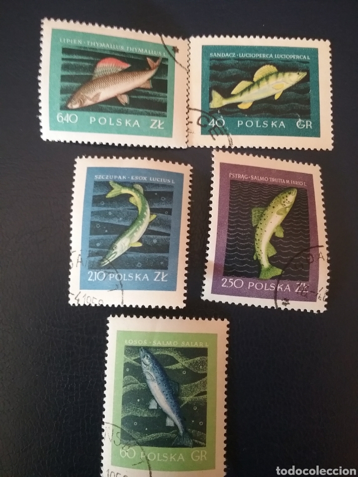 Timbres: Sellos R. Polonia (Polska) mtdos/1958/Peces, pescados/vida, fauna marina/animales/naturaleza/salmon/