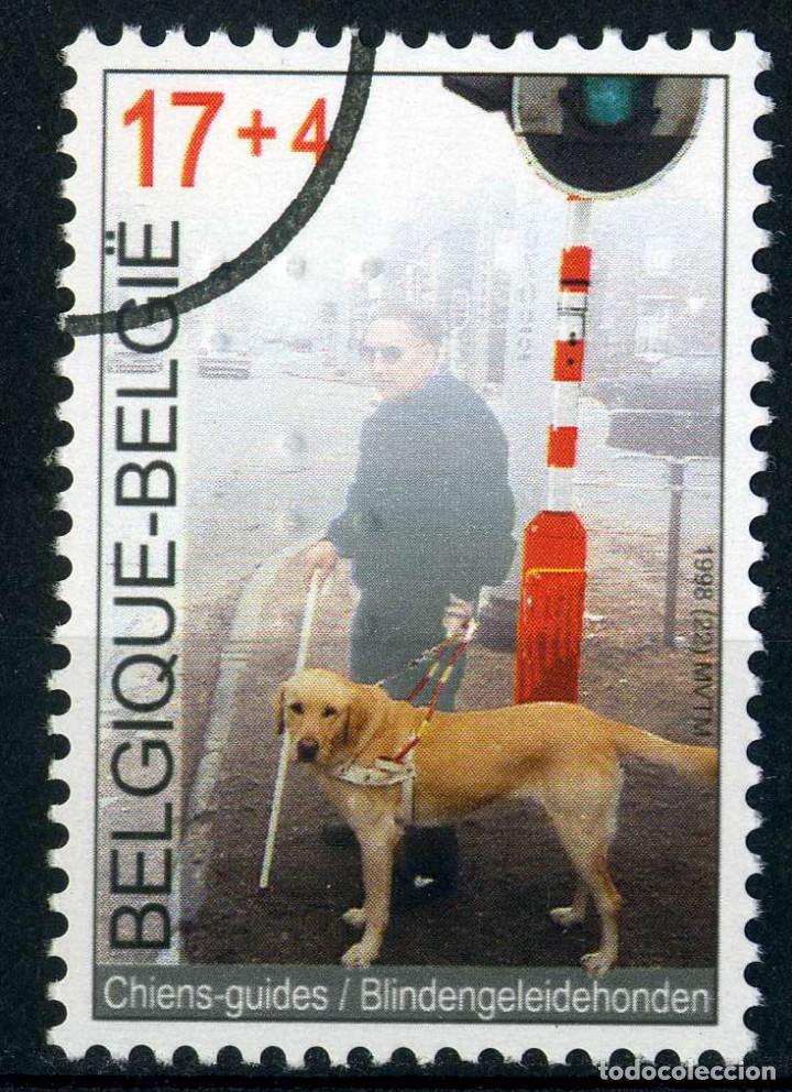 Sellos: B&Eacute;LGICA. 1 MUESTRA CON SEGMENTO - Foto 1