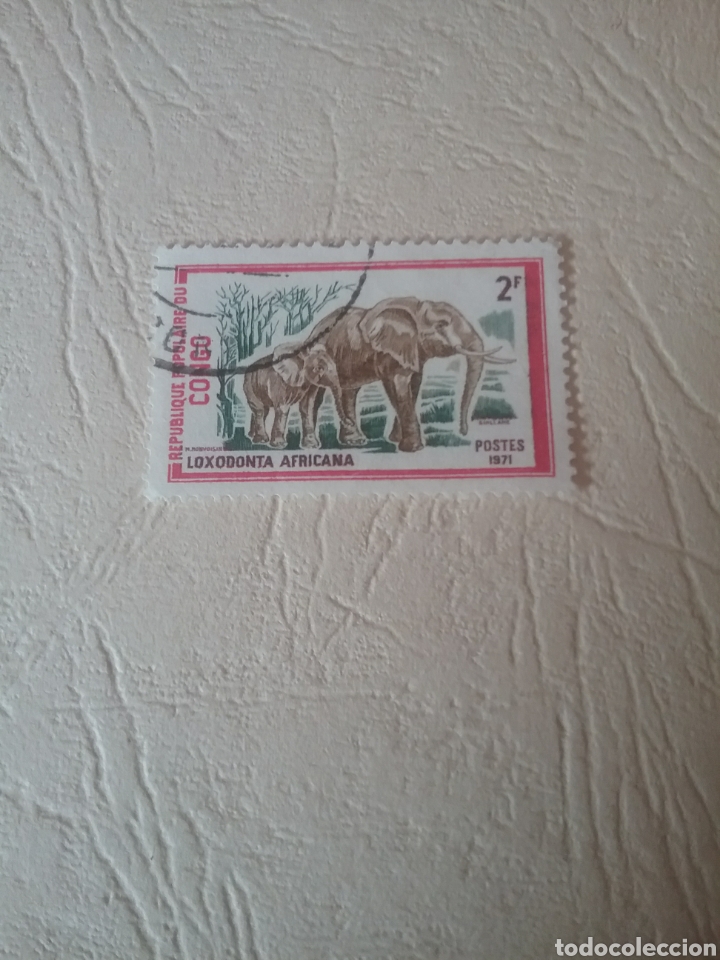 Timbres: Sellos R. Congo (Brazzaville) mtdos/1972/Elefante africano/fauna/naturaleza/mamiferos/colmillos/saba