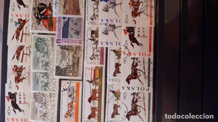 Sellos: Lote sellos caballos2 - Foto 1