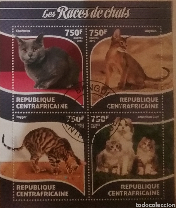 Timbres: HB R. Centroafricana mtda/2014/Gatos/animales domesticos/mamiferos/felinos/fauna/naturaleza/