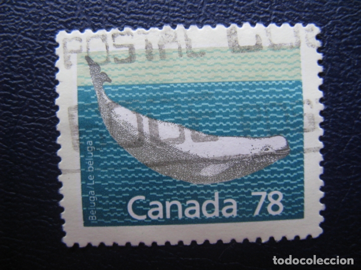 Sellos: canada, 1978 beluga - Foto 1