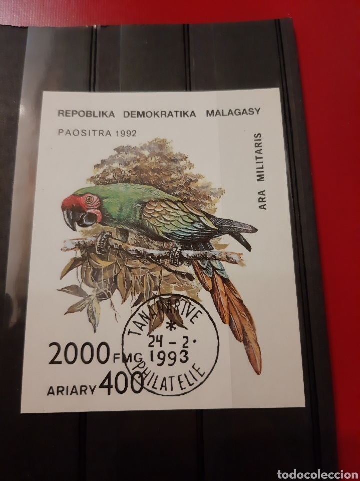Sellos: 1992 Malasia p&aacute;jaros Loro - Foto 1