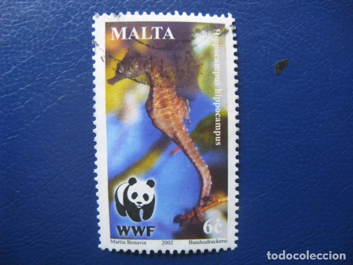 Sellos: malta, 2002 caballito de mar - Foto 1