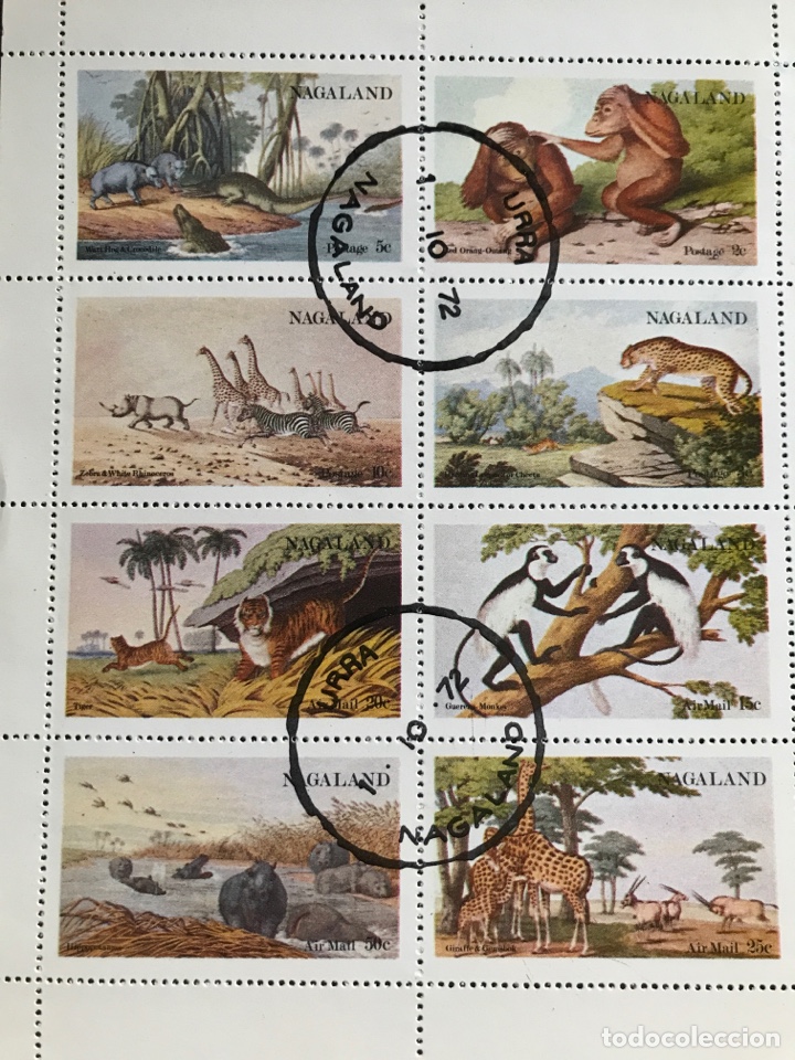 Briefmarken: Hoja bloque de 8 sellos de mamiferos Nagaland 1972