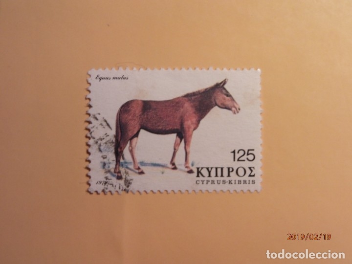 Sellos: CHIPRE - MAM&Iacute;FEROS, LA MULA. - Foto 1