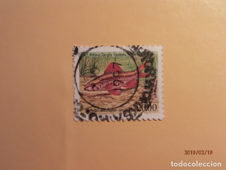 Sellos: SRILANKA - PECES - BARNIZ TITTEYA - PEZ BARBO CEREZA.