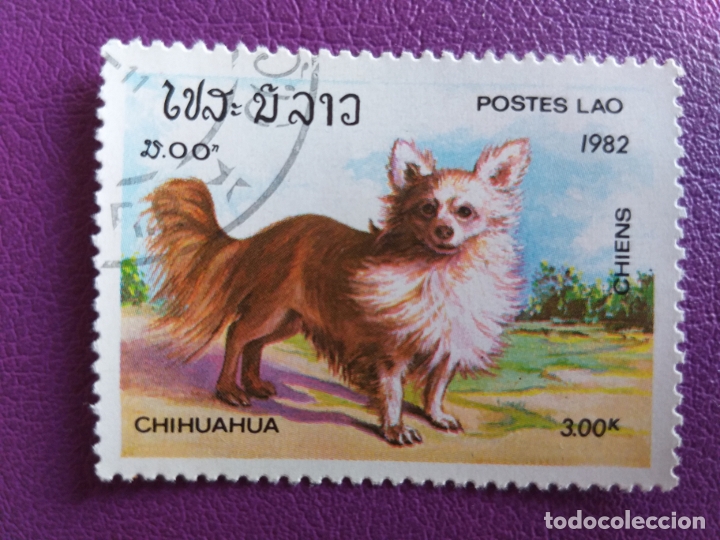 Timbres: Sello de Lao. A&ntilde;o 1982. Fauna, perro. Chihuahua.