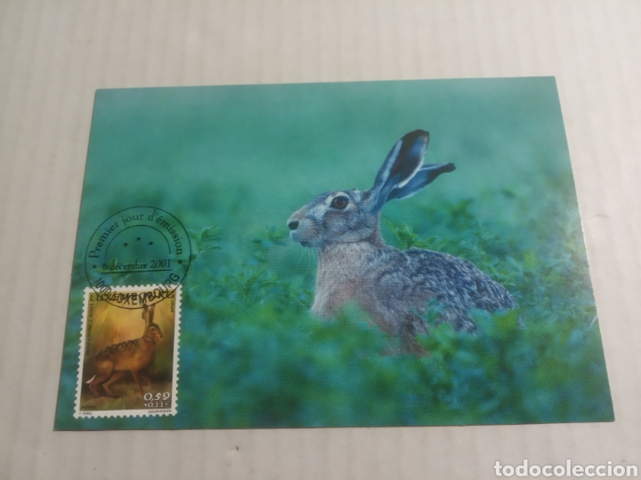 Sellos: Luxemburgo tarjeta postal - Foto 1