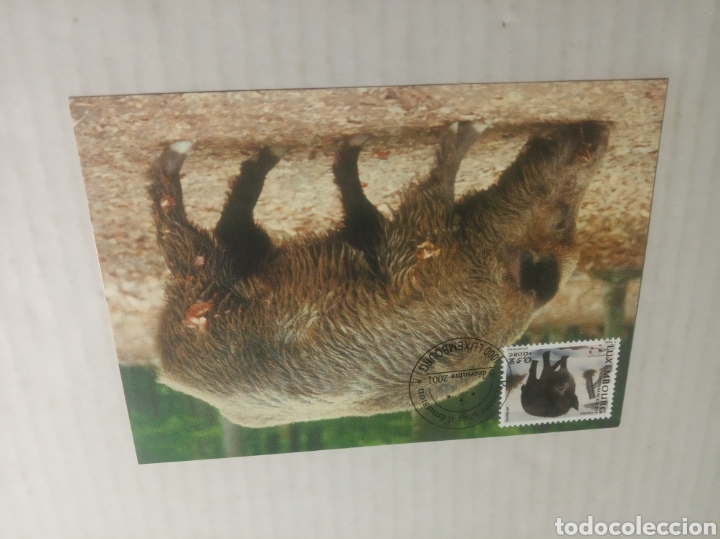 Sellos: Tarjeta postal Luxemburgo - Foto 1