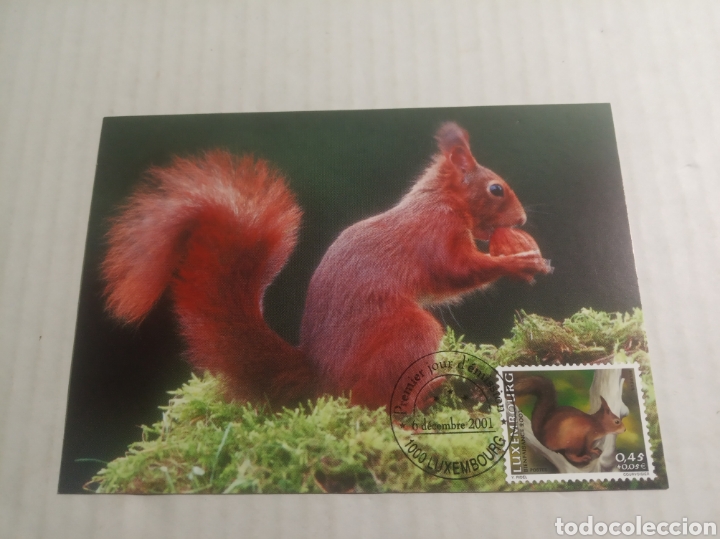 Sellos: Luxemburgo tarjeta postal - Foto 1