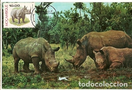 Timbres: Mozambique & Maxi,Fauna, Rinoceronte,  Rhinocerontidae,  Rhino Blanco,  Chitengo  1976 (3515)