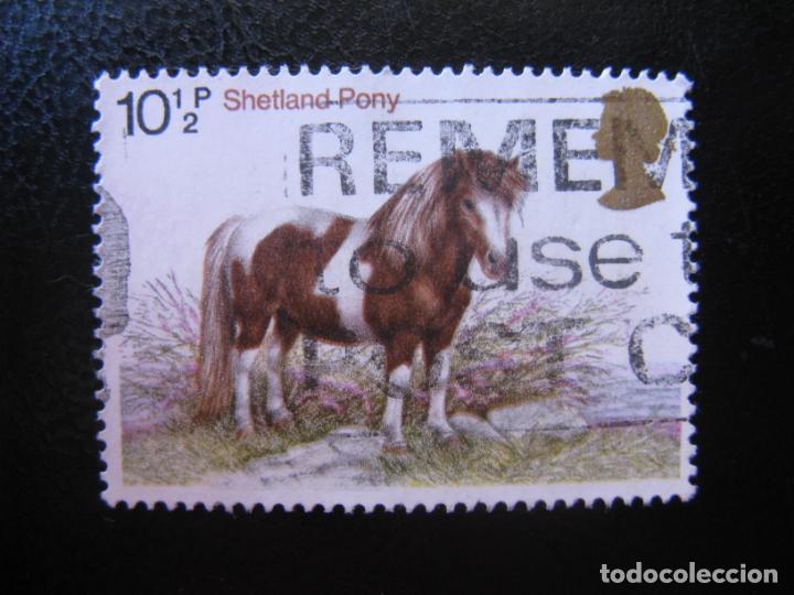 Timbres: -inglaterra 1978, cent.sociedad hipica, pony escoces